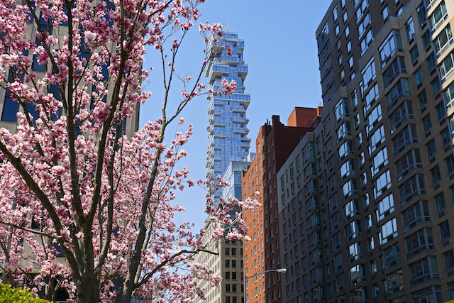 Best Manhattan Neighborhoods Buyer's Guide for 2023 Prevu