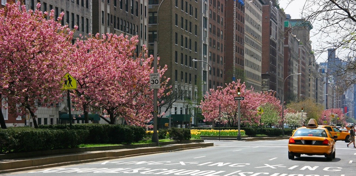 upper-east-side-park-avenue.webp