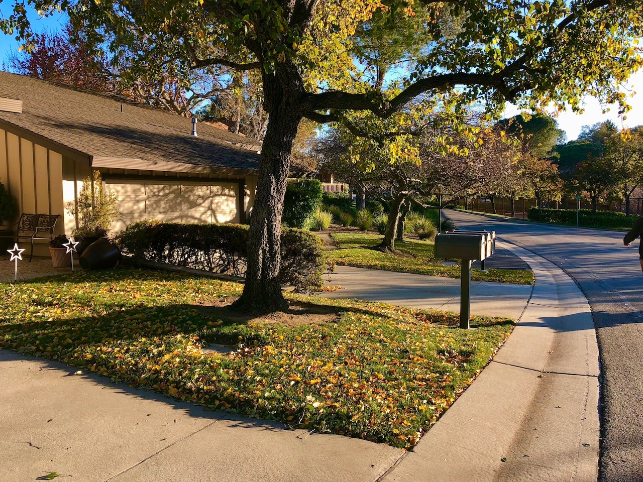 Top 6 Reasons to Move to Menlo Park Prevu