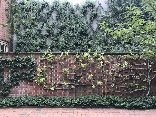 Society Hill Philadelphia